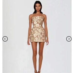 Danielle Strapless Flower Embroidered Mini Dress In Brown